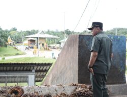 Pasca di Sidak, PT GSL Kembali Menerima TBS Sawit dari Kawasan Hutan