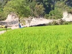 Hambali Akui Aktivitas Pengambilan Material Gunung di Bontoa Tak Berizin, Kawasan Karst Bontolempangan Jadi Sorotan